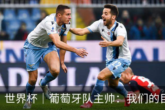 世界杯｜葡萄牙队主帅：我们的目标是打满八场比赛